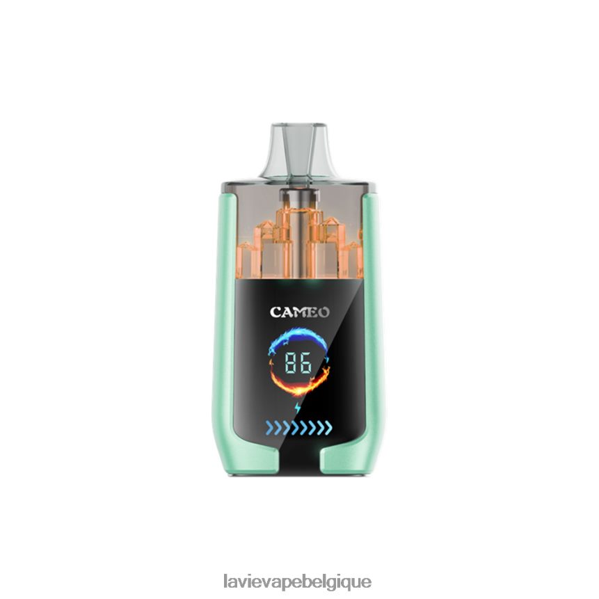 46406820 Lavie Vape Price | double pomme LAVIE CAMEO 30000 bouffées